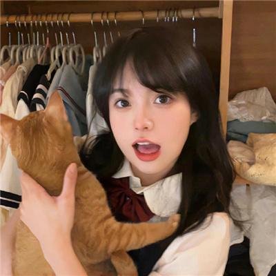 豺狼